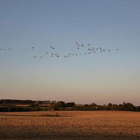 Radlerzimmer Mit Duschbad Und Minikueche In Neu Gaarz, Mitten In Der Natur Luaran gambar