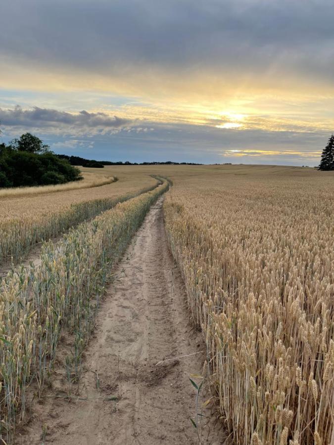 Radlerzimmer Mit Duschbad Und Minikueche In Neu Gaarz, Mitten In Der Natur Luaran gambar